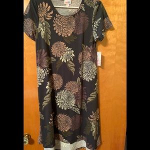 Lularoe Floral Carly Dress.  S. NWT.